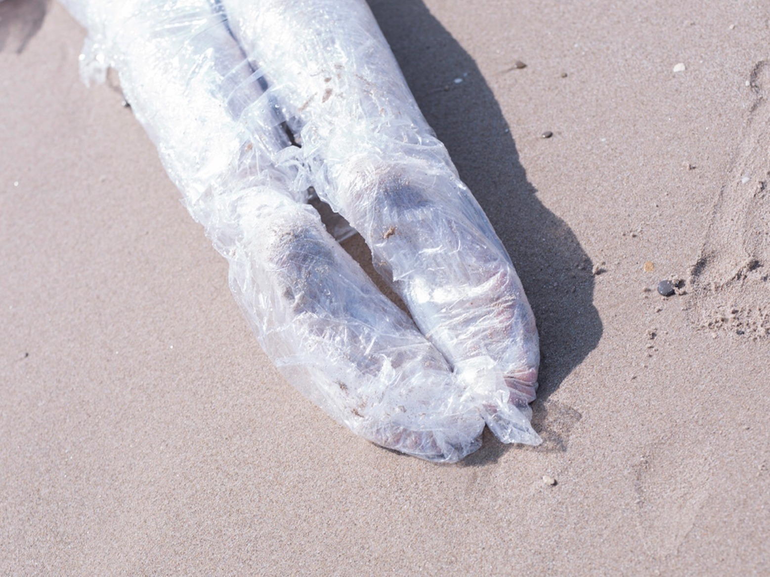 vakillaloca OnlyFans