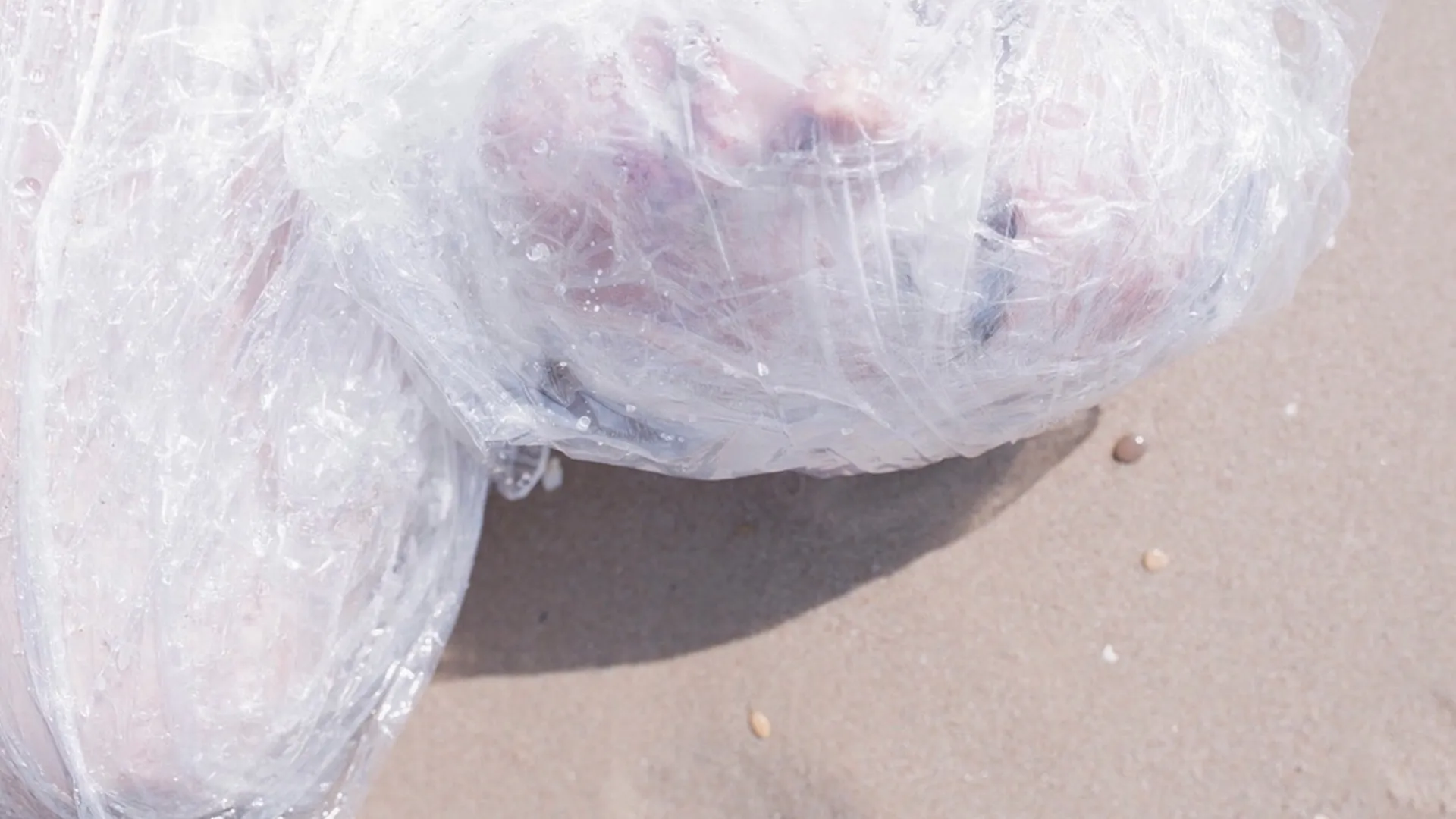 vakillaloca OnlyFans header