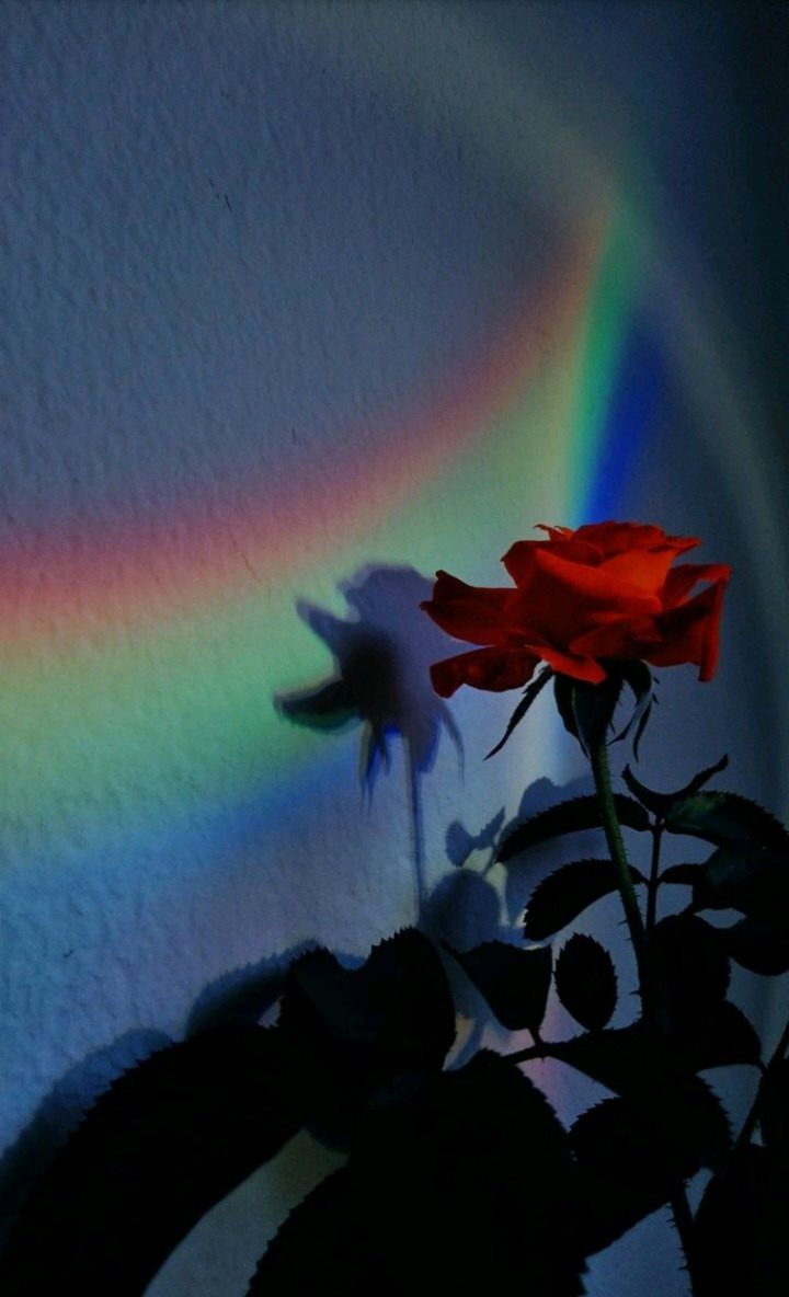 V a l❣️ OnlyFans header