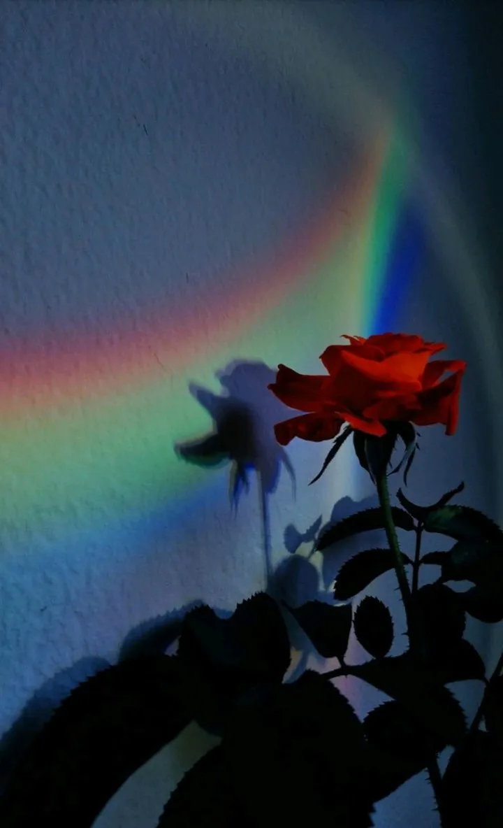 V a l❣️ OnlyFans header