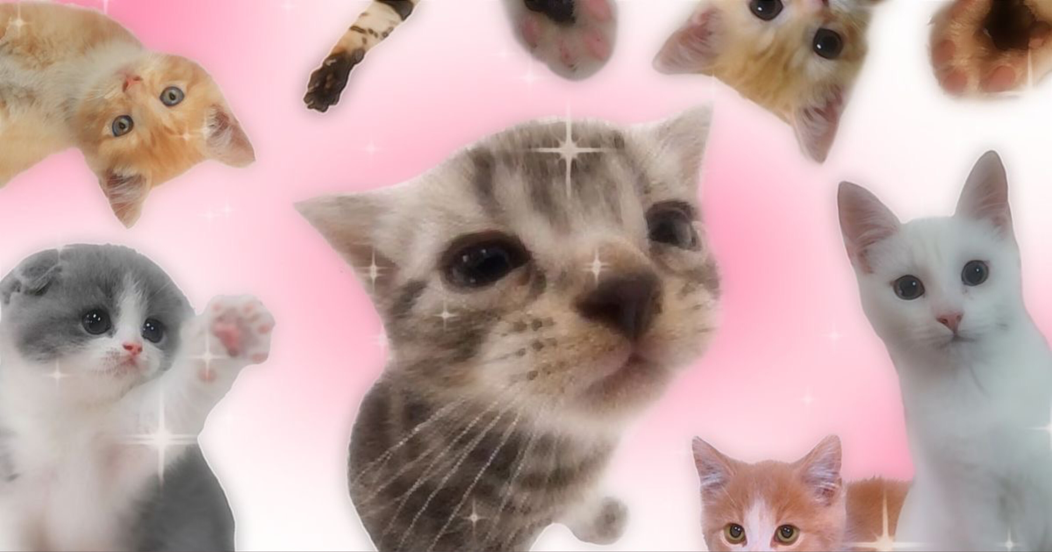 YUMMI ✰ OnlyFans header