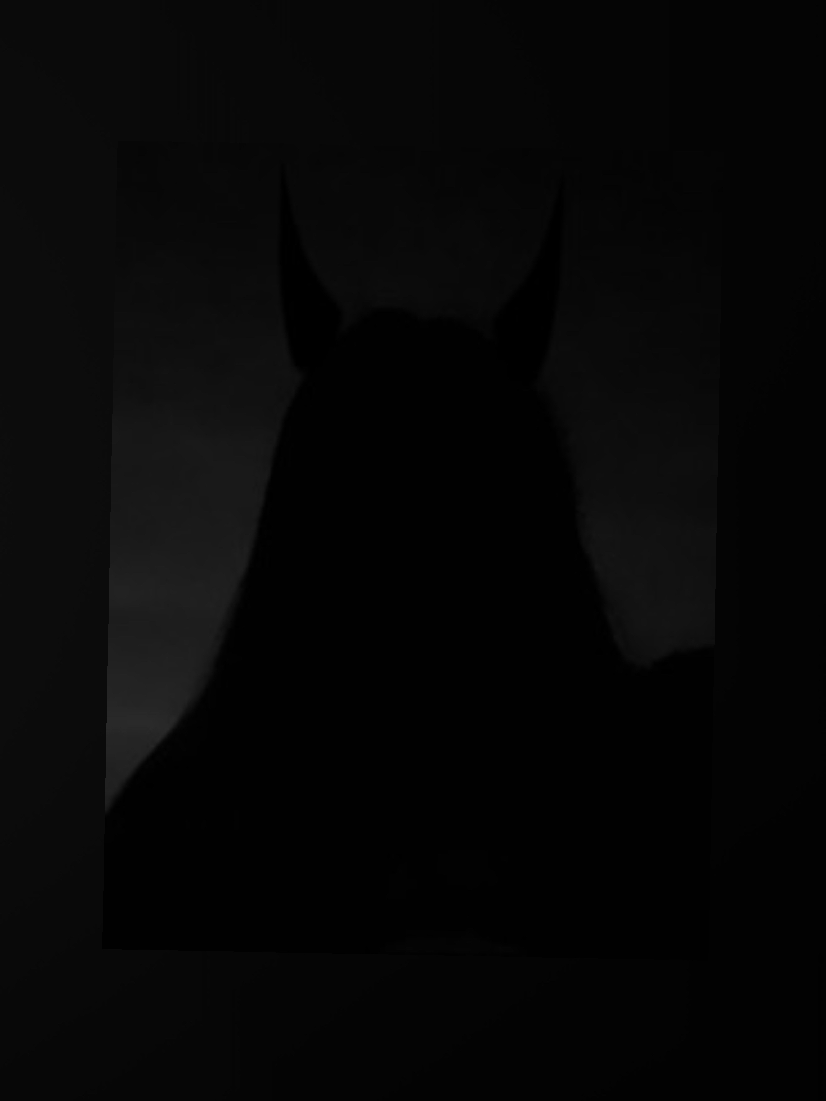 Valeria vega OnlyFans