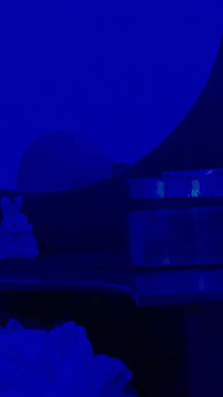 Valentina OnlyFans header