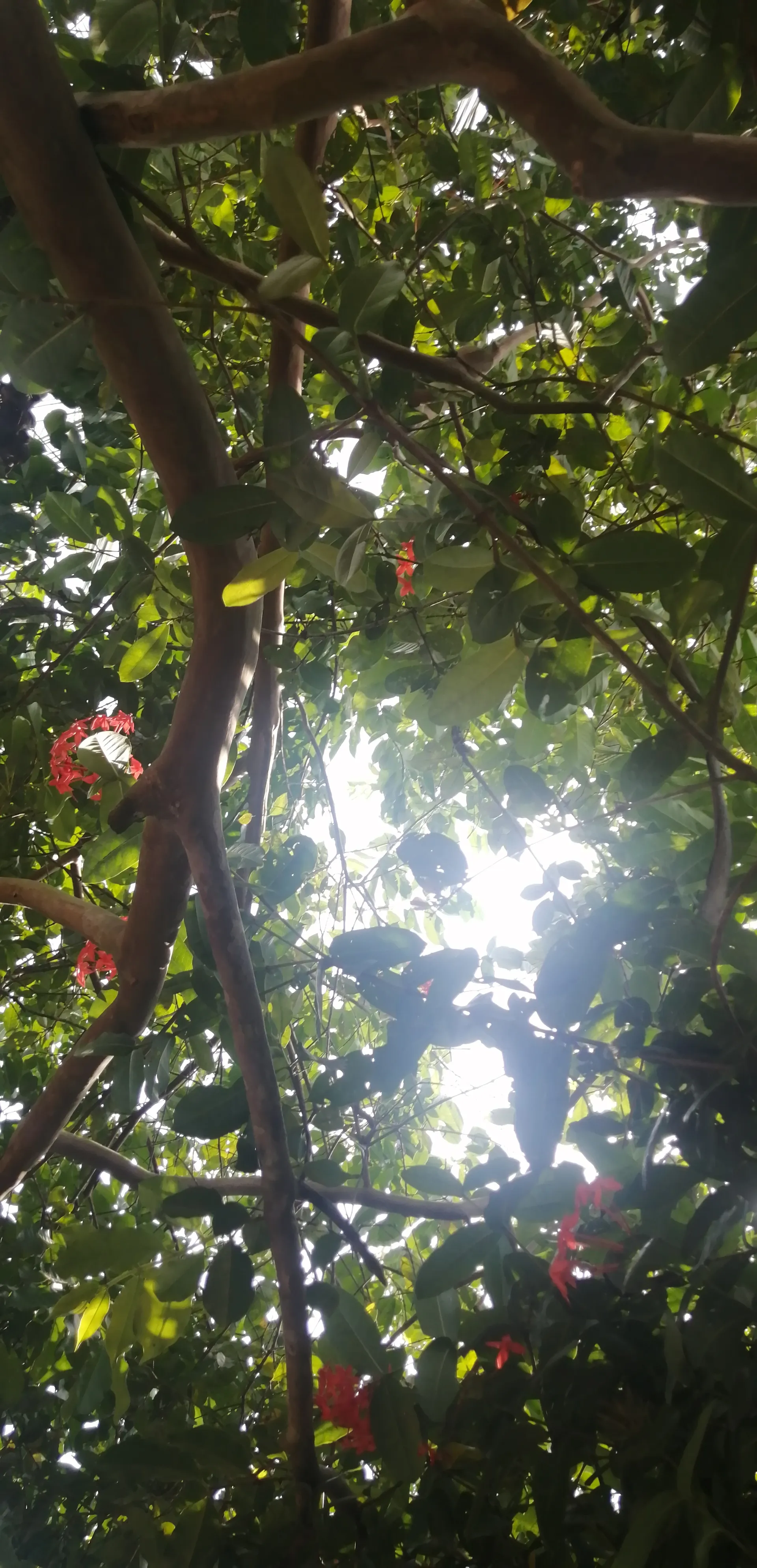 Valery OnlyFans header