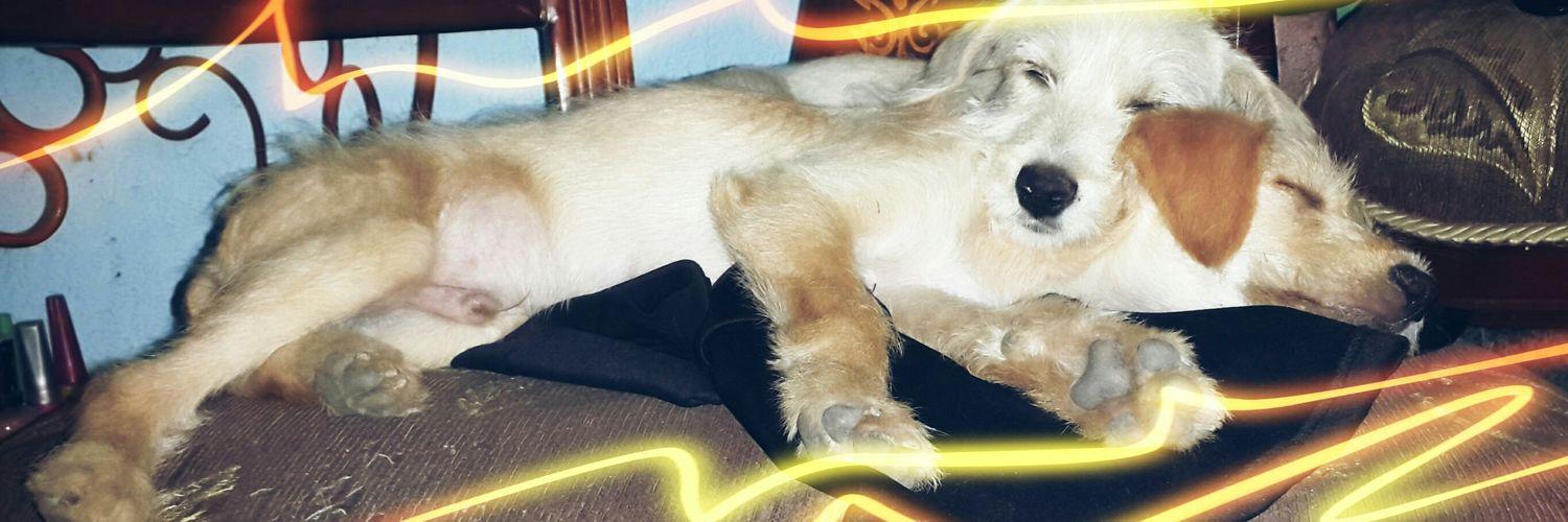 Valen Carmona OnlyFans header