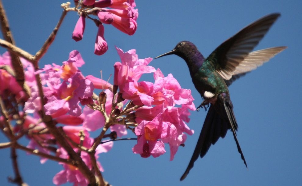 @Valen_DIAZ0214 OnlyFans header