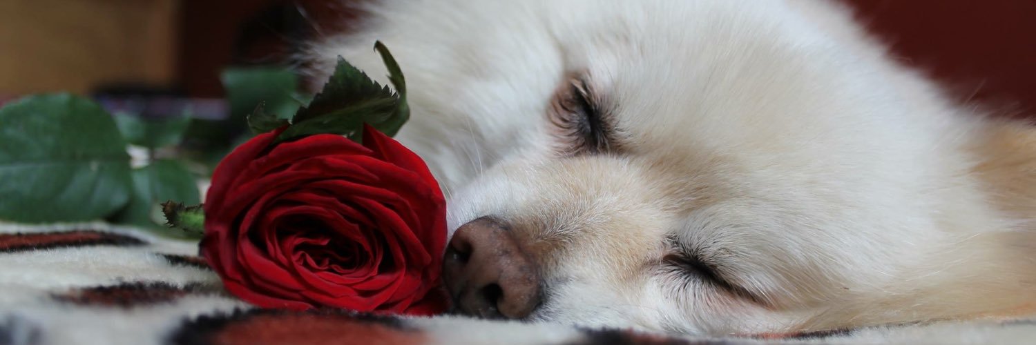 Daisy Valencia OnlyFans header