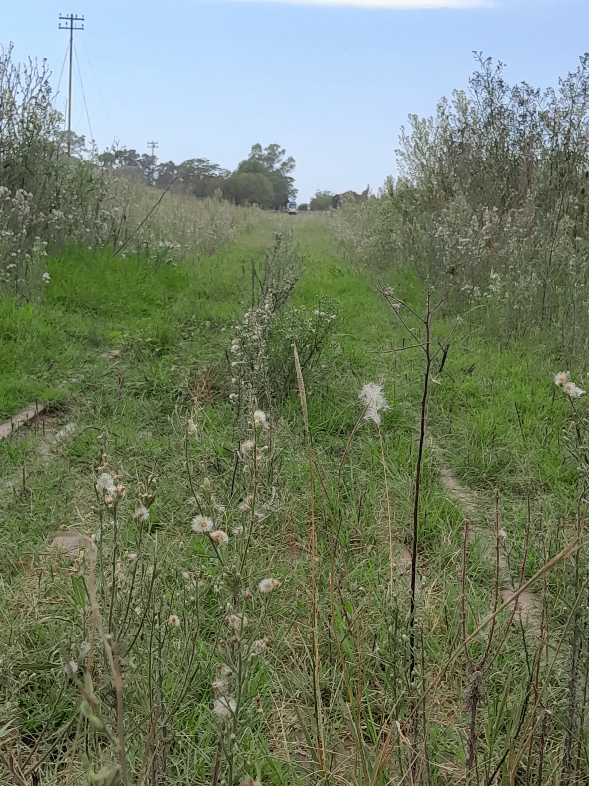 paulo valentin Medina OnlyFans header