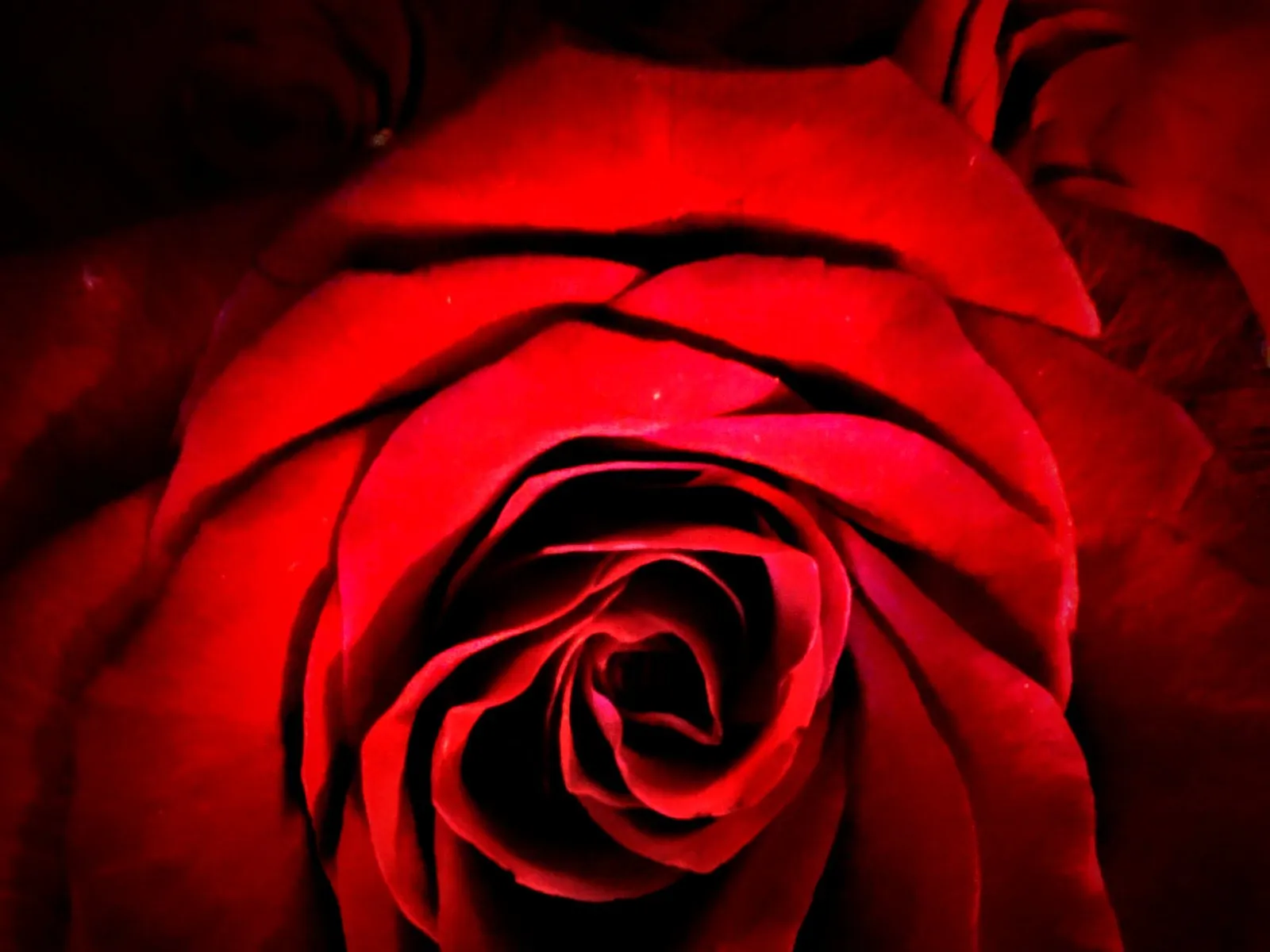 Gina Valentina OnlyFans header