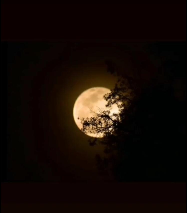 Valentina Smith OnlyFans header