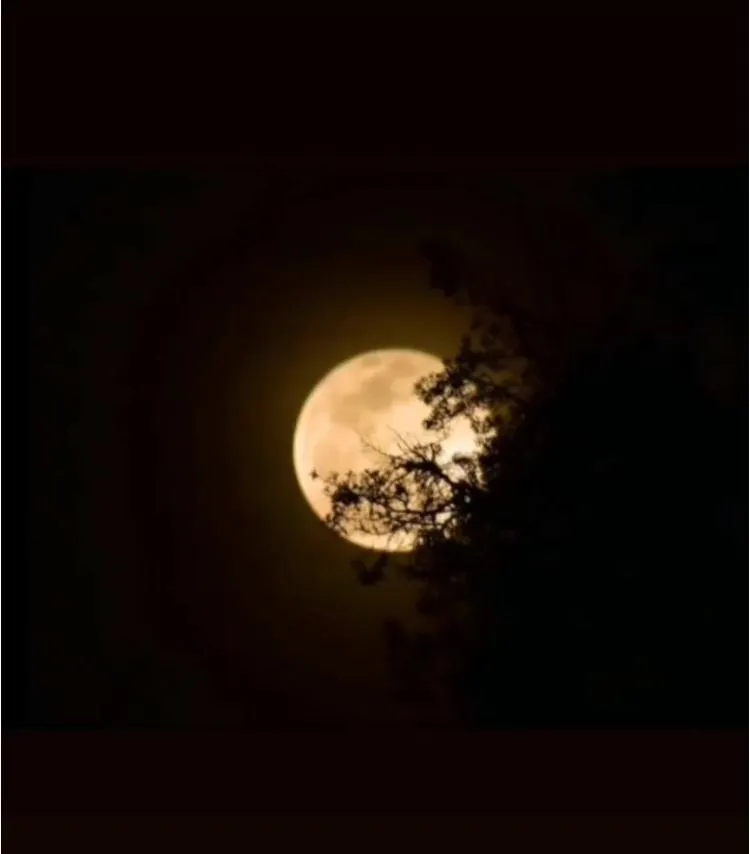 Valentina Smith OnlyFans header