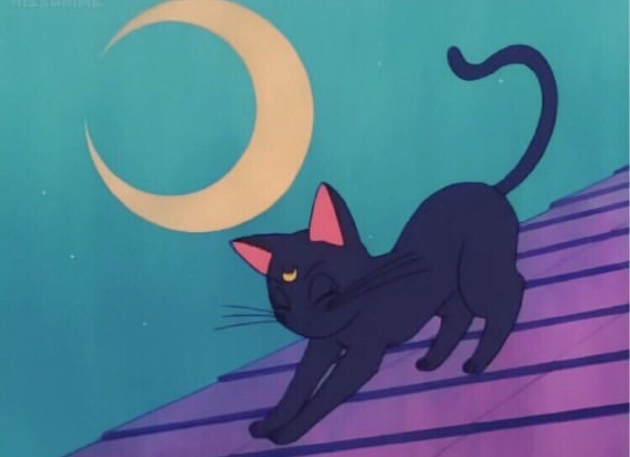 Valentina coneja OnlyFans header