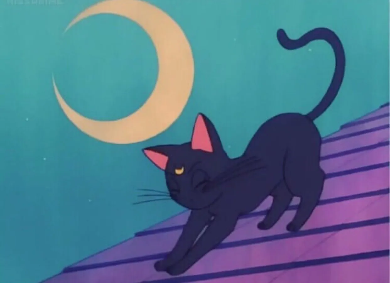 Valentina coneja OnlyFans header