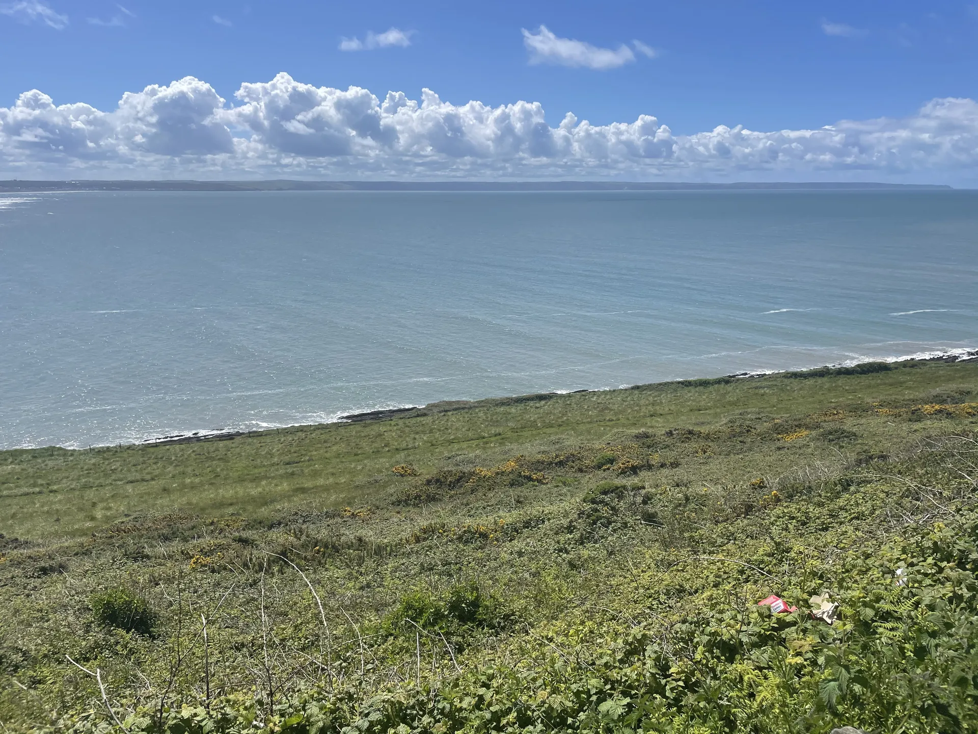 Valentine OnlyFans header