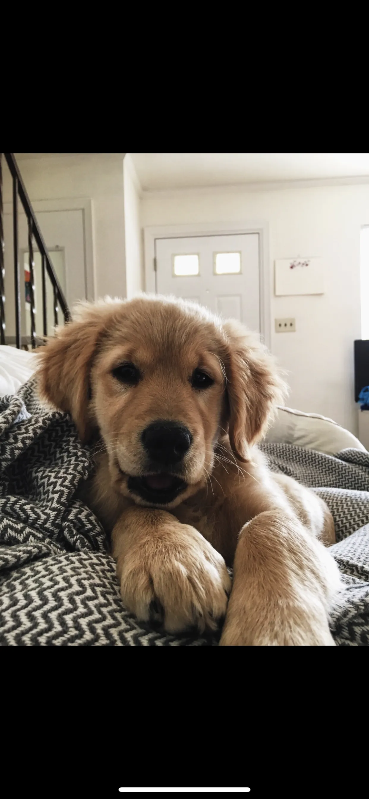 David Valentim OnlyFans header