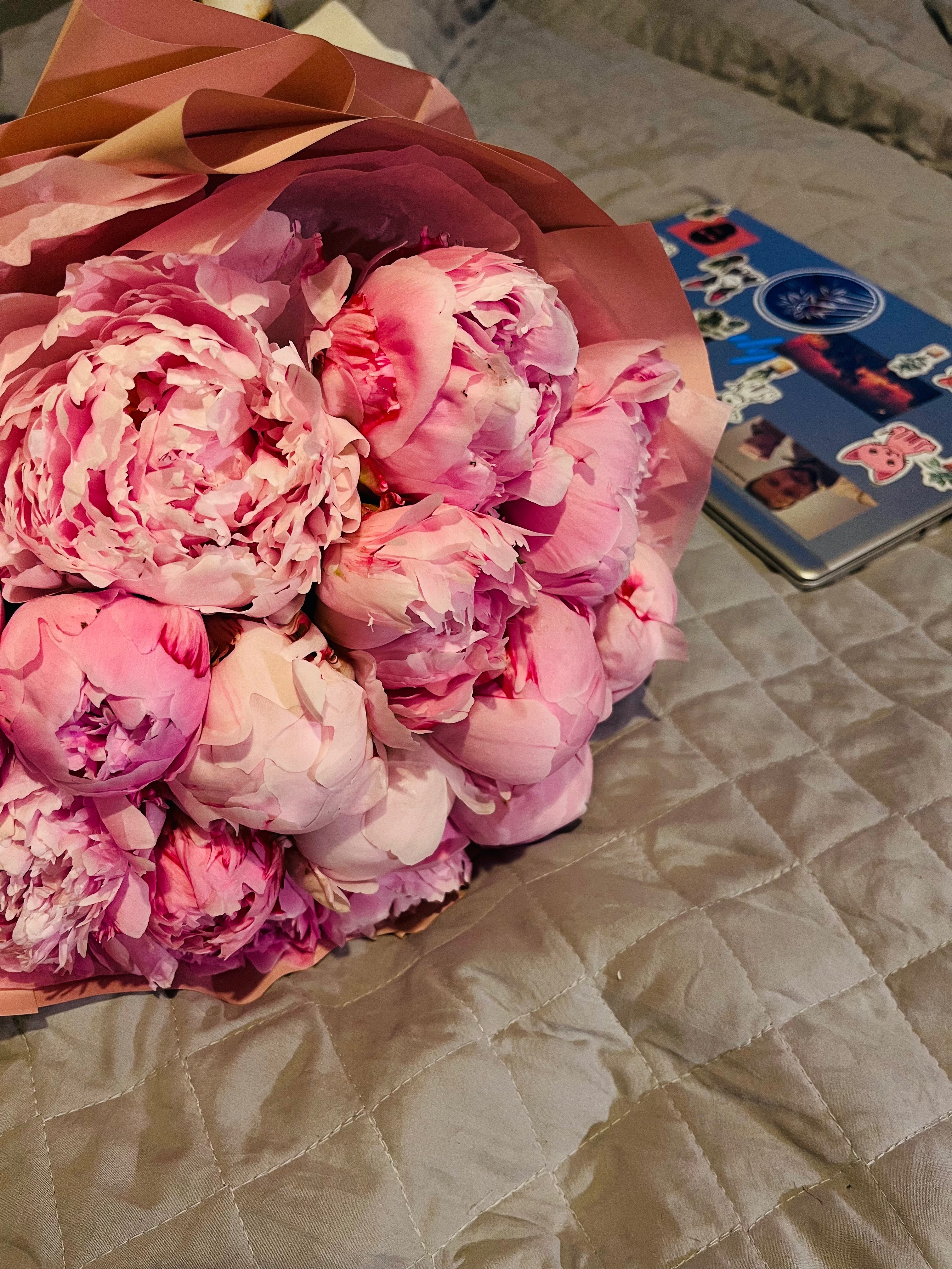 V 🌸 OnlyFans header