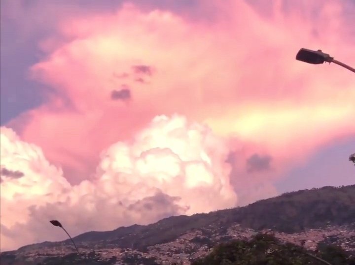 🐰 Val Bunny 🐰 OnlyFans header