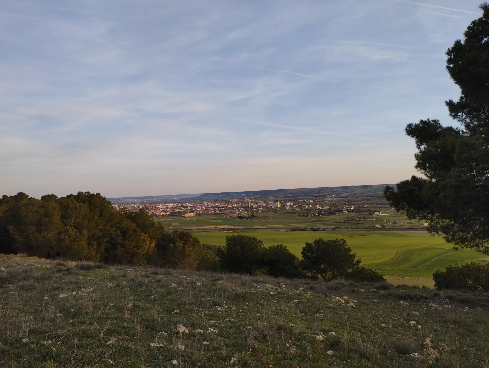 Curvyvaleria OnlyFans header