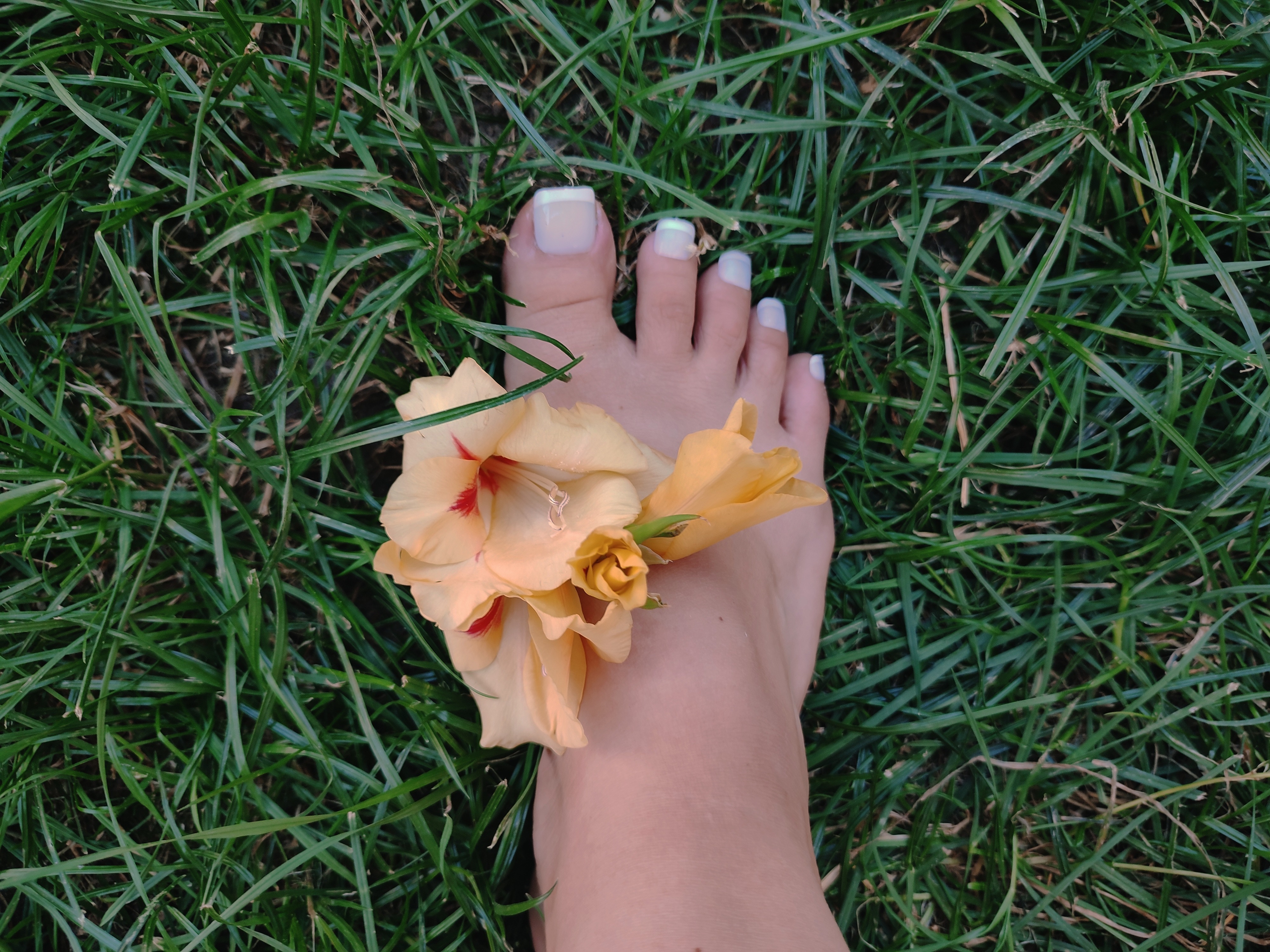 Valerie Candy Feet Model OnlyFans header