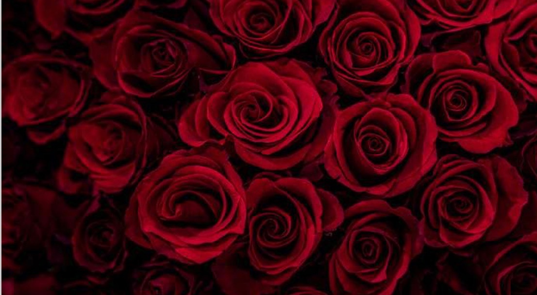 Valerie OnlyFans header