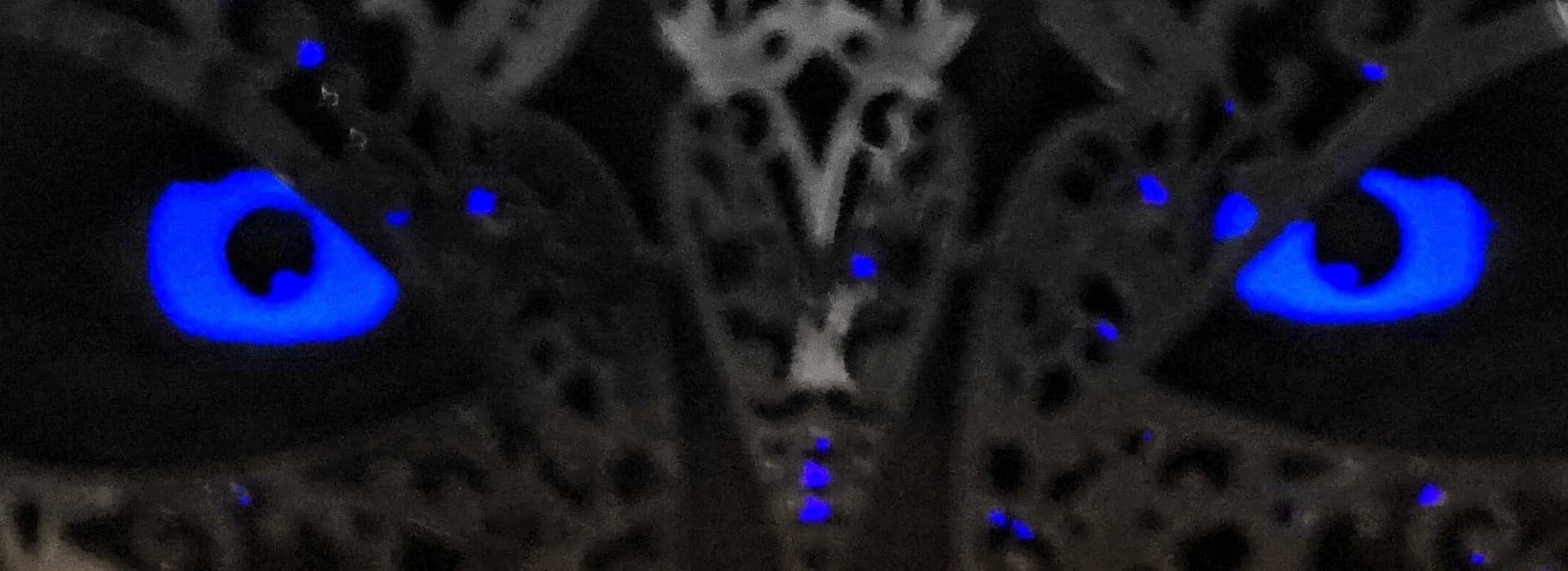 Valerie Rose OnlyFans header