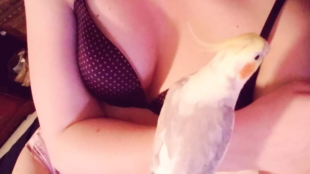 Valerie Stardust OnlyFans header