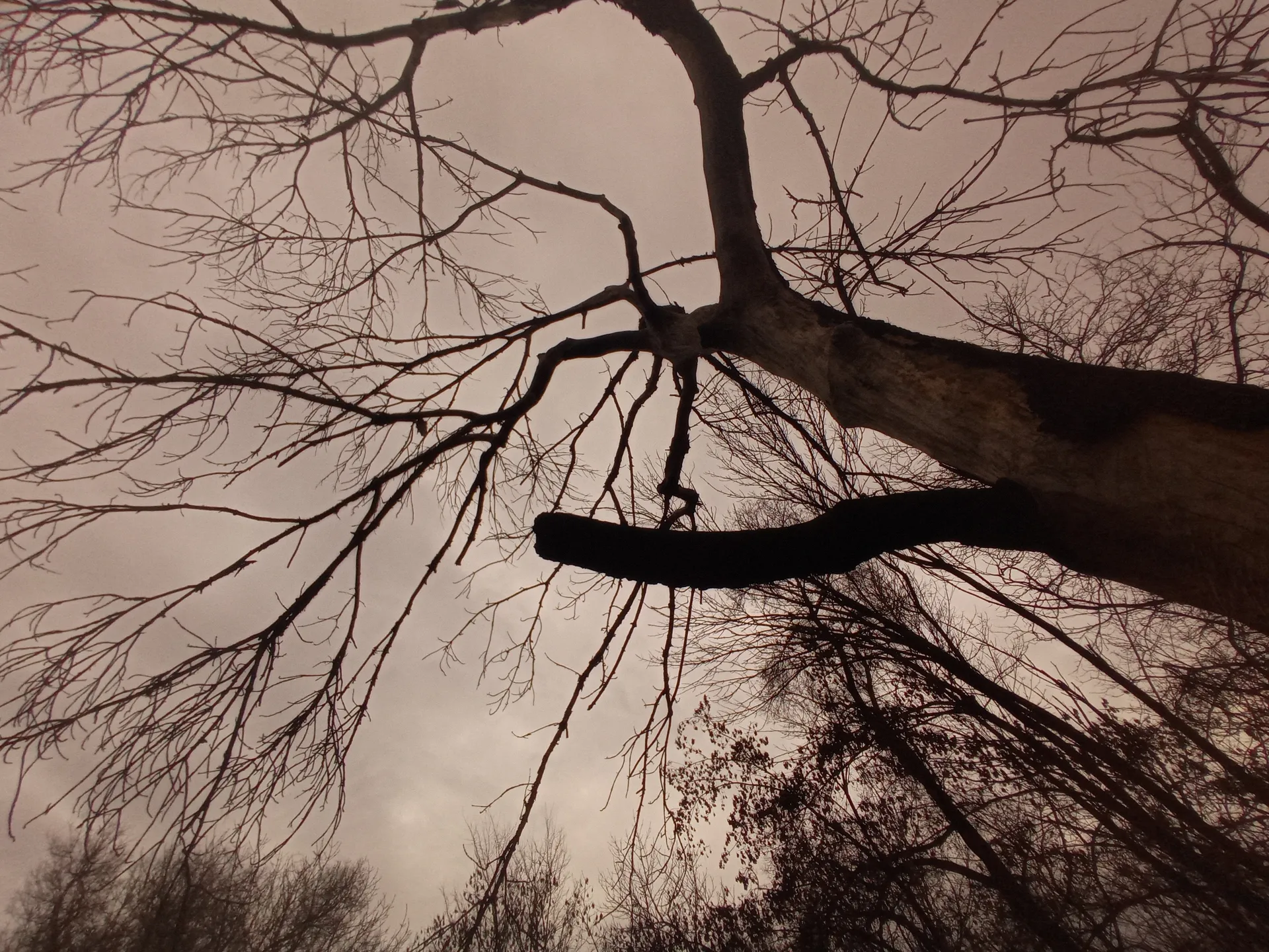 Valerii Shelest OnlyFans header