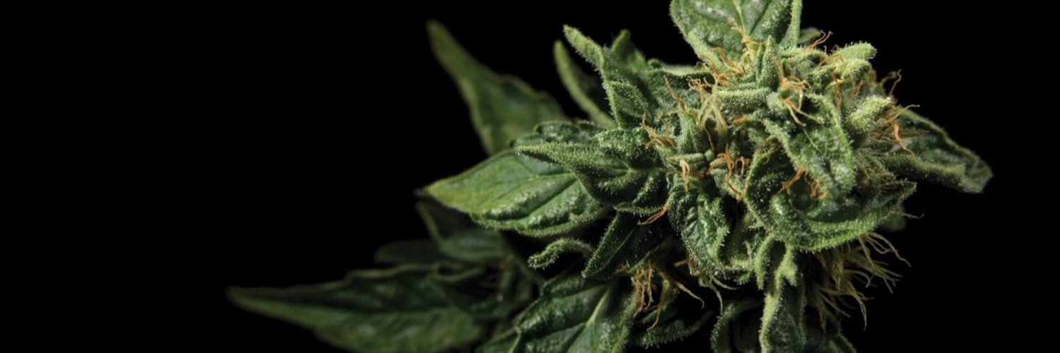 Valeriya OnlyFans header