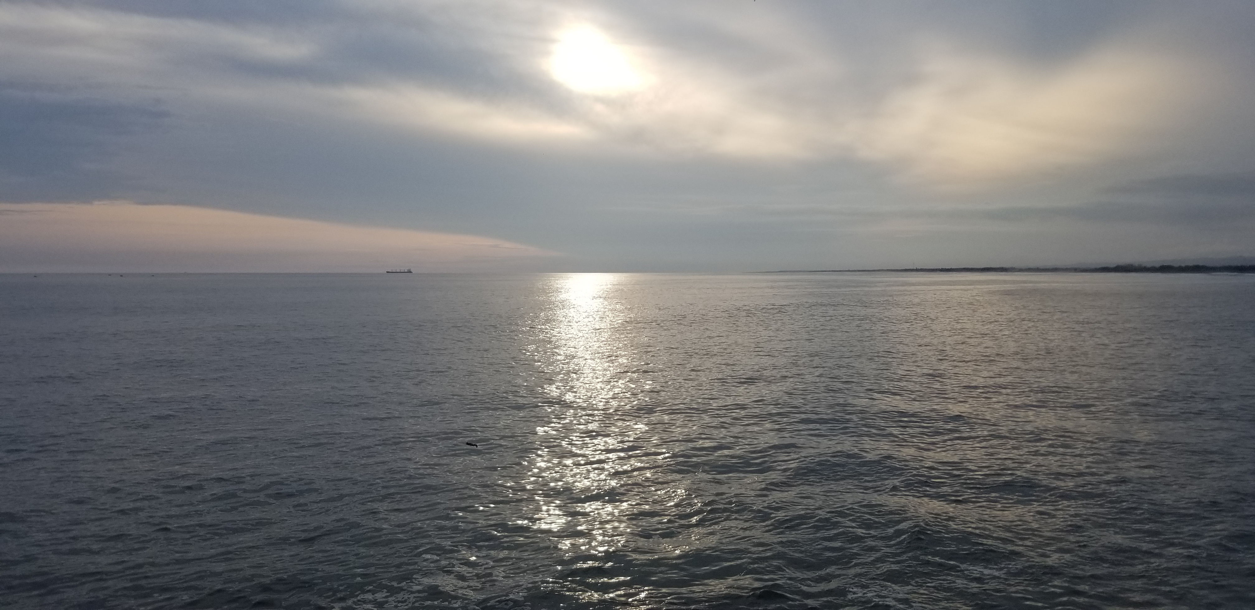 Catalina Guevara OnlyFans header