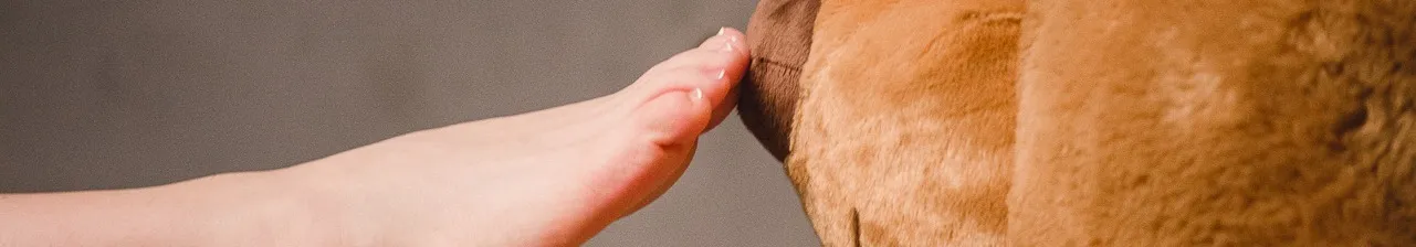 Valery OnlyFans header