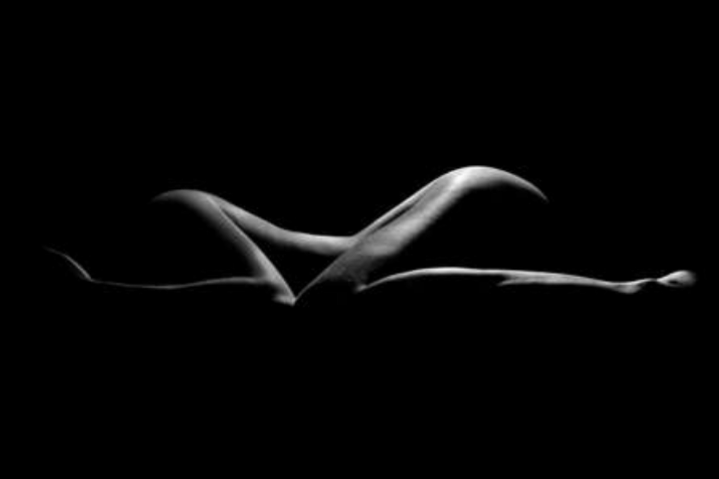 ValsCardozo🌹 OnlyFans header