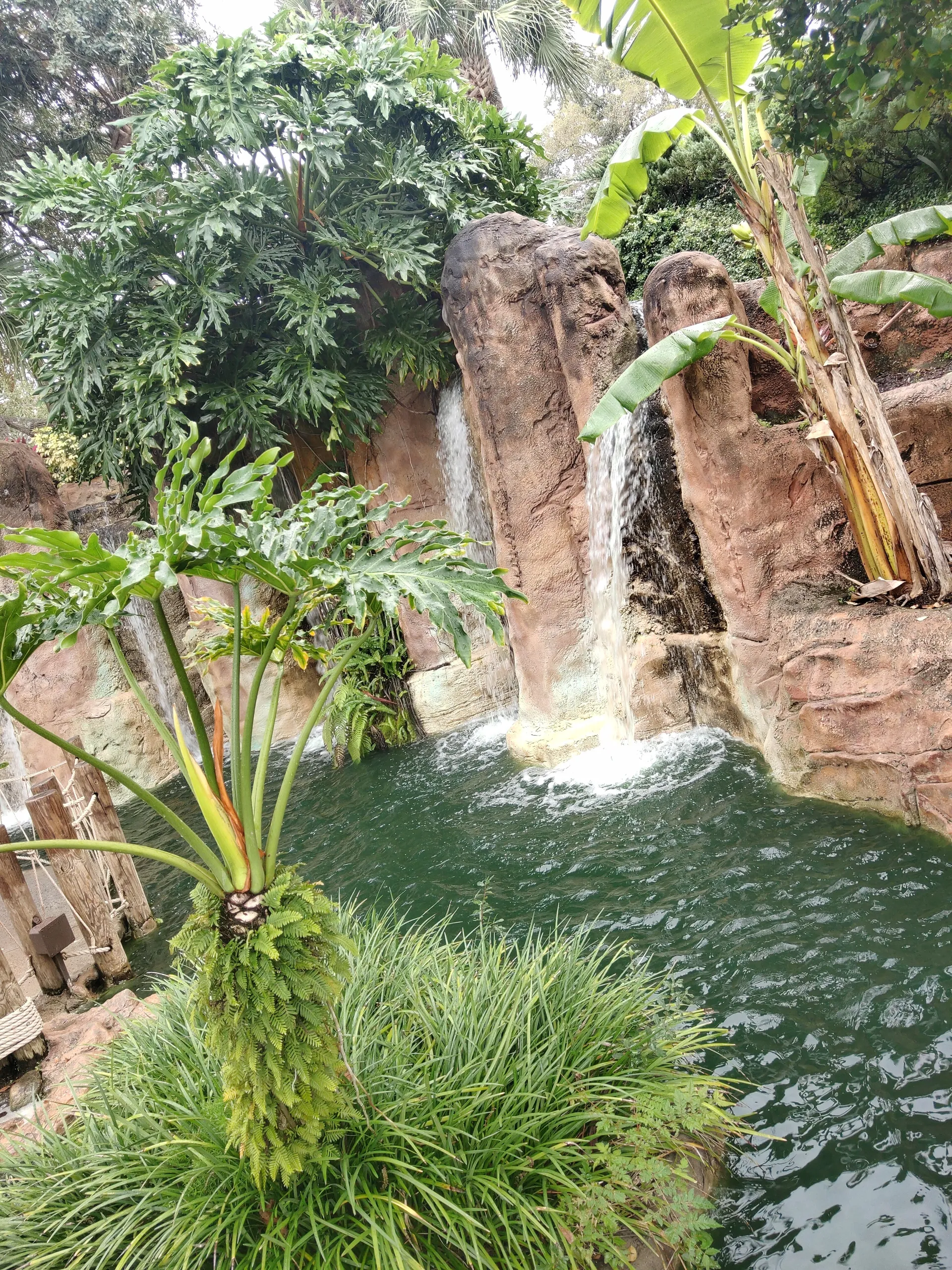 Tempest OnlyFans header