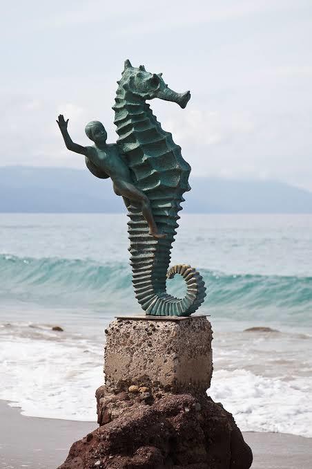 Packs Vallarta OnlyFans