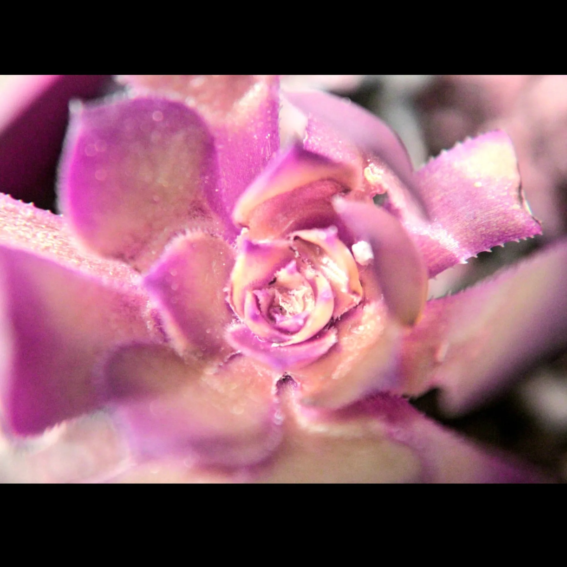 Valud21 OnlyFans header