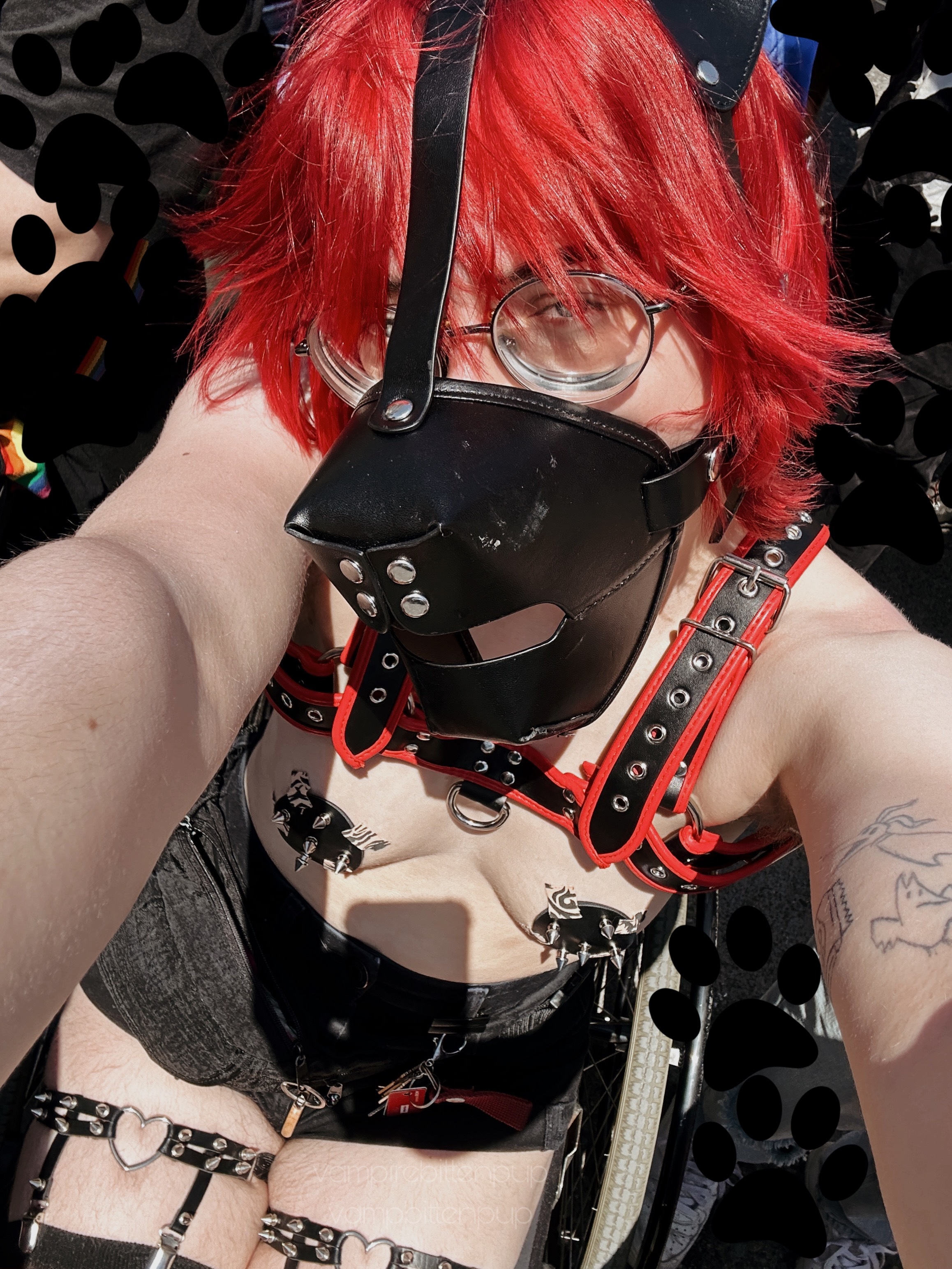 Bingo’s Free OF OnlyFans