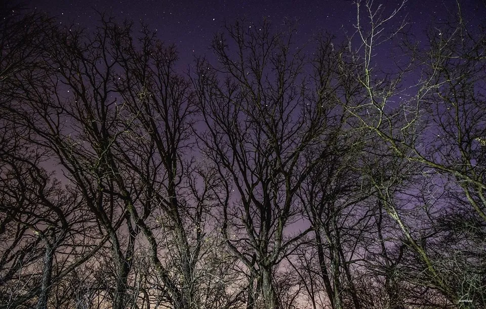 𝕷𝖎𝖈𝖐 𝖒𝒚 𝖇𝖔𝖔𝖙𝖘 🖤 OnlyFans header