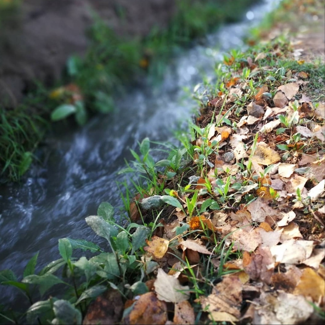 Vampi Nyaw OnlyFans header