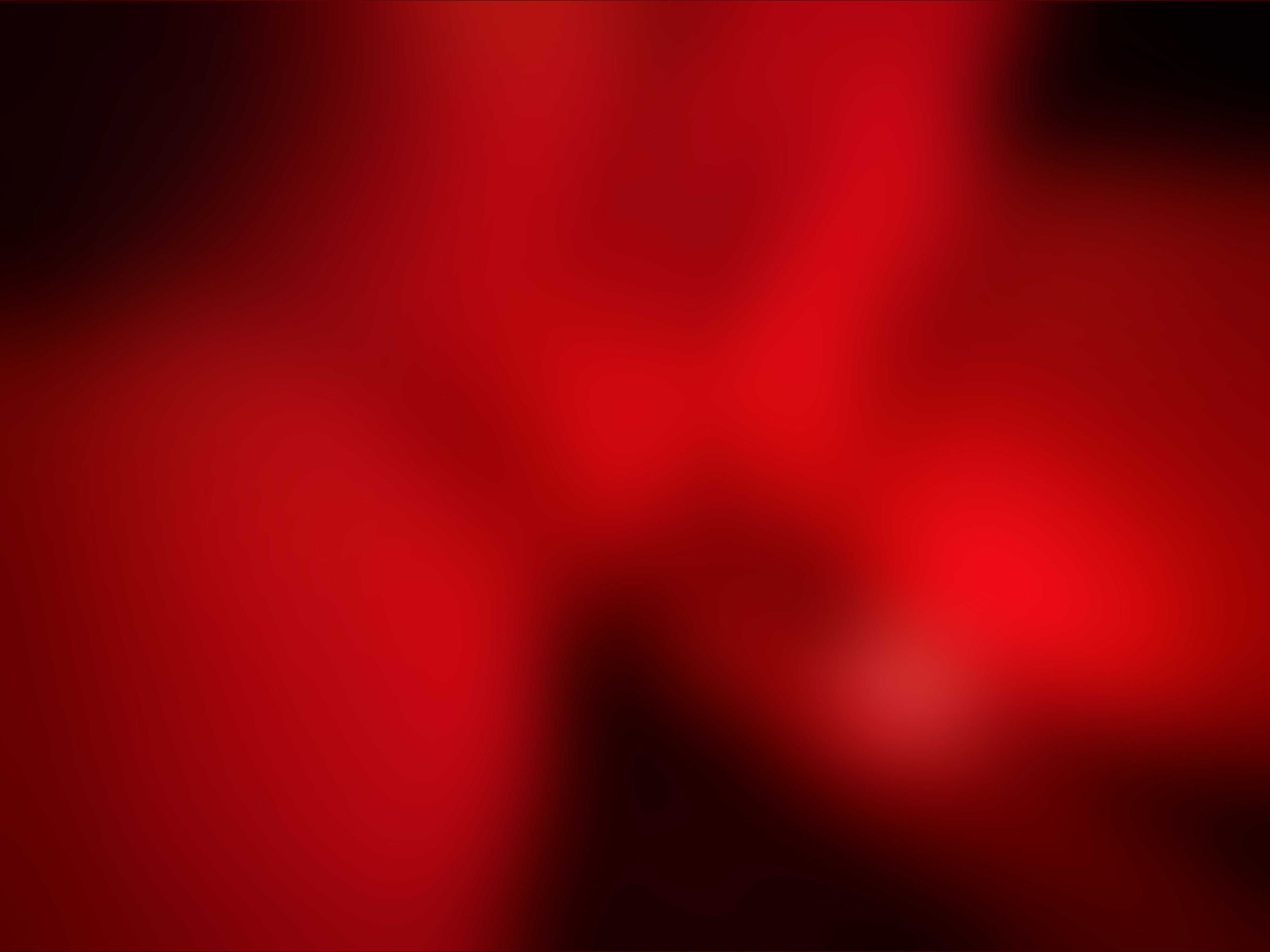 Bingo Bitten OnlyFans header