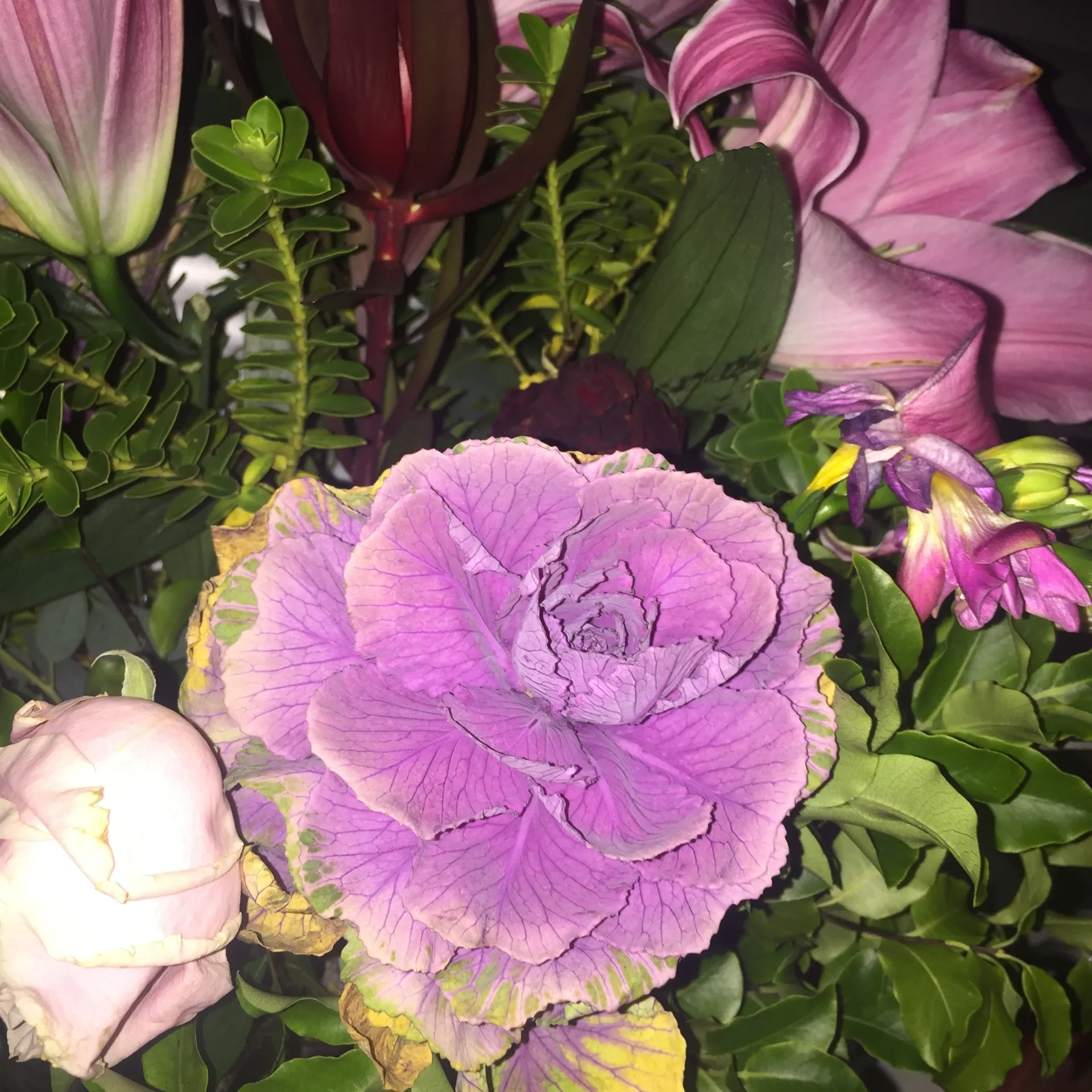 Vampyveen OnlyFans header