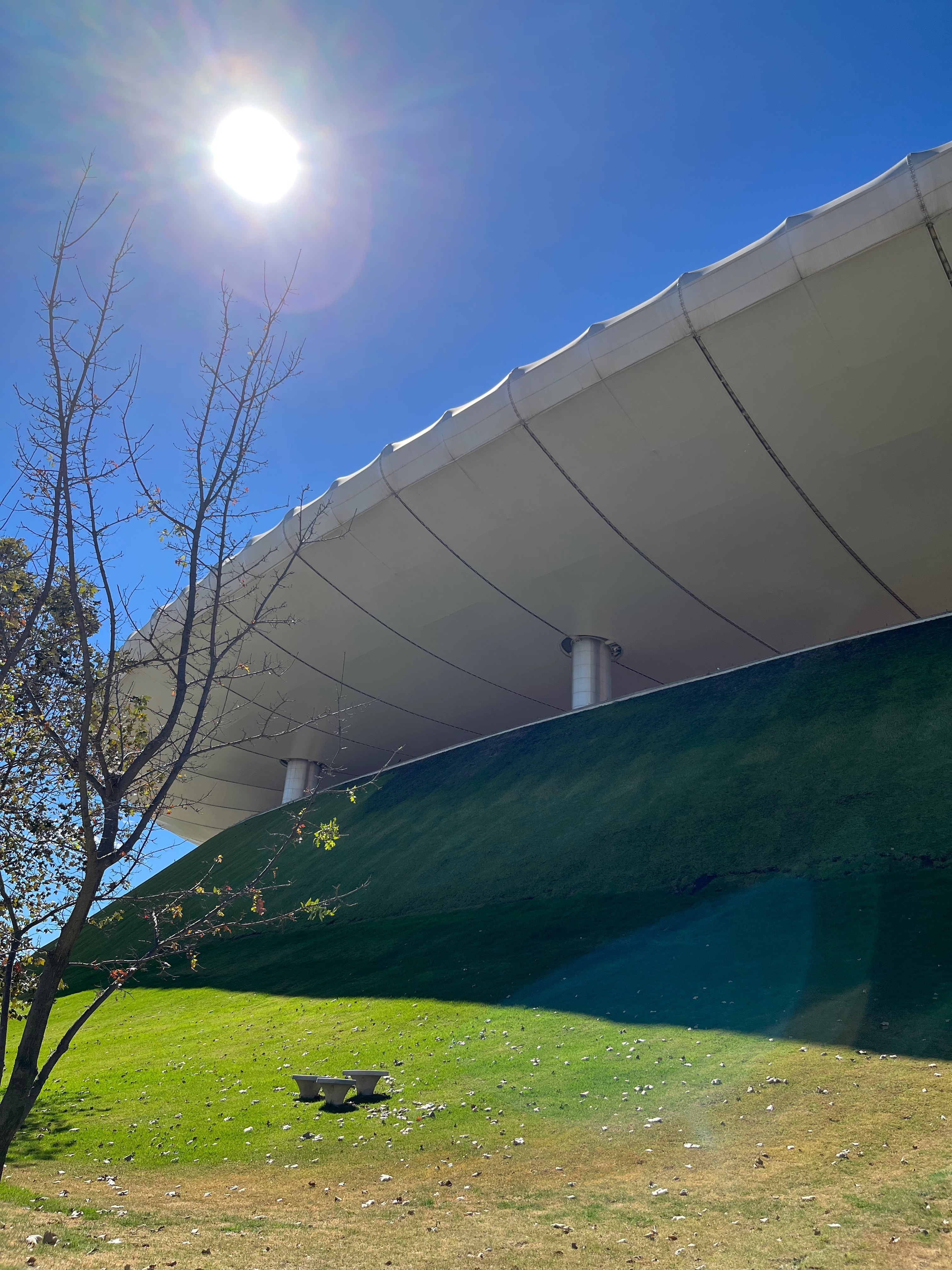 Van OnlyFans OnlyFans