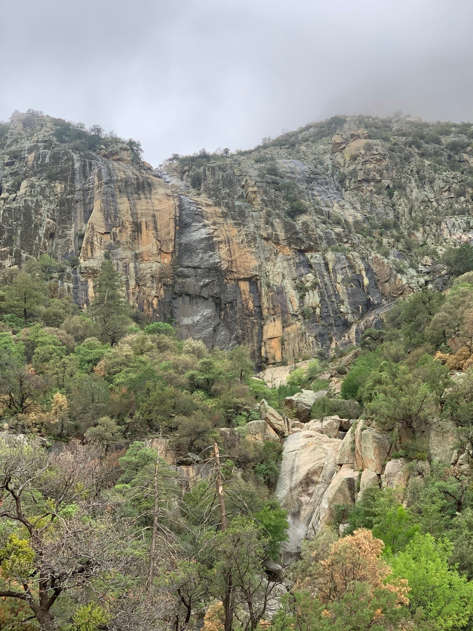 Nessa OnlyFans header