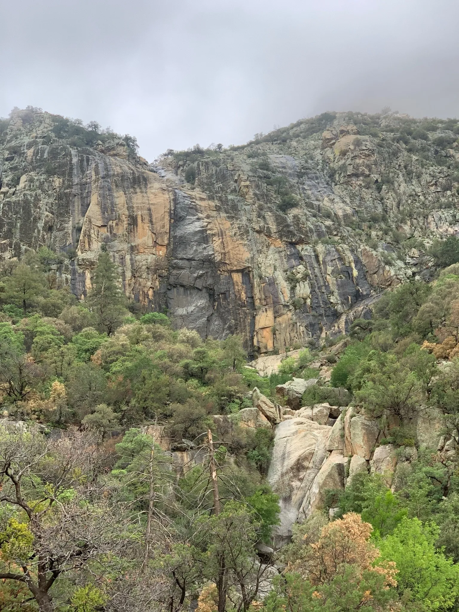 Nessa OnlyFans header