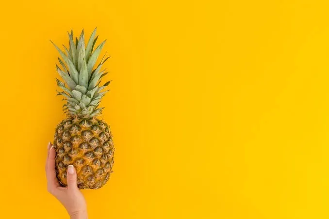 Vane OnlyFans header