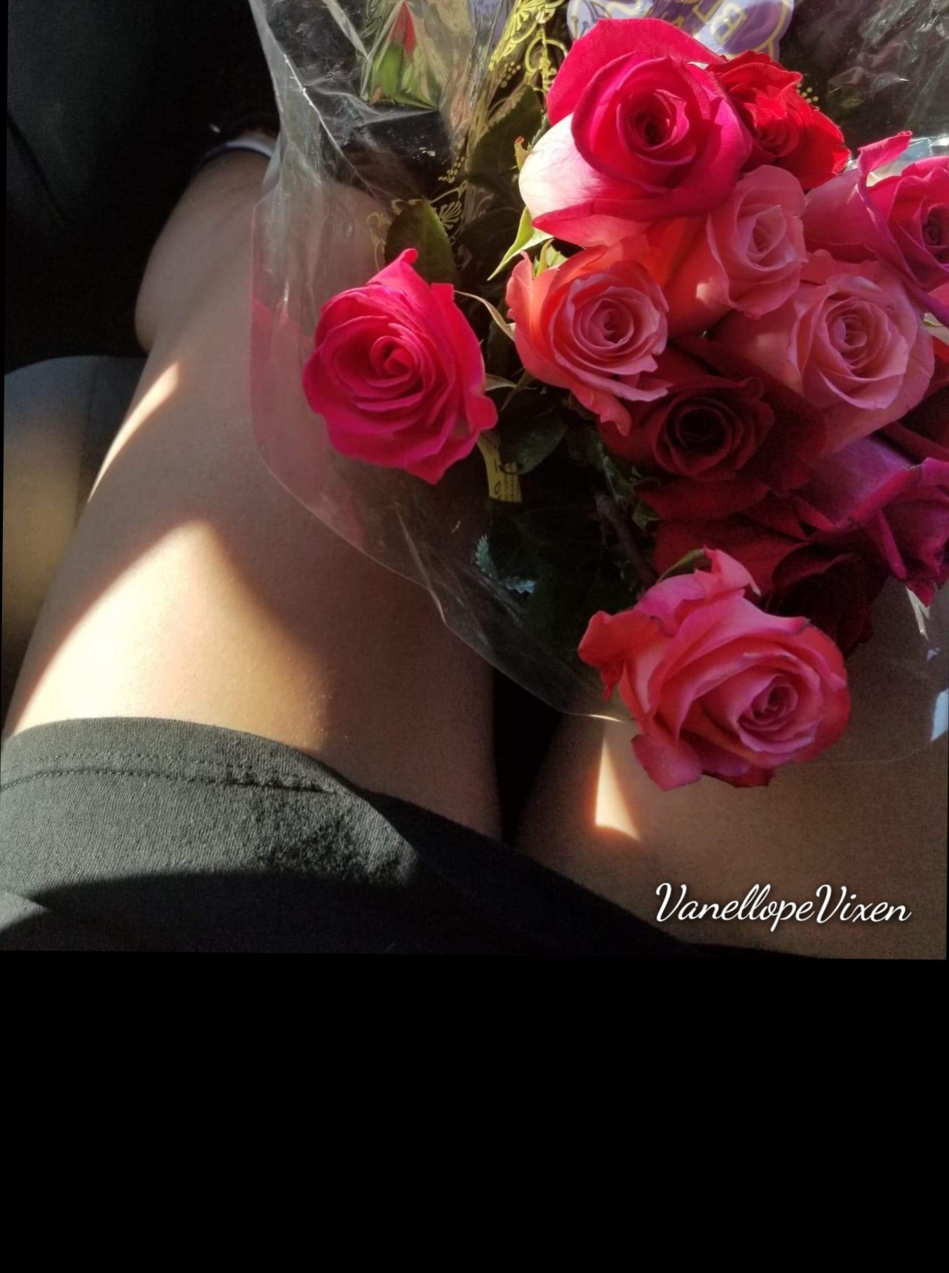 Vanellope Vixen💋 OnlyFans header