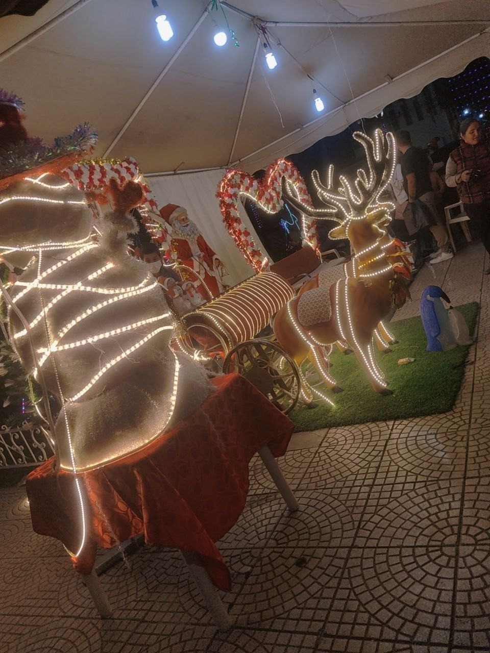 Vane OnlyFans header