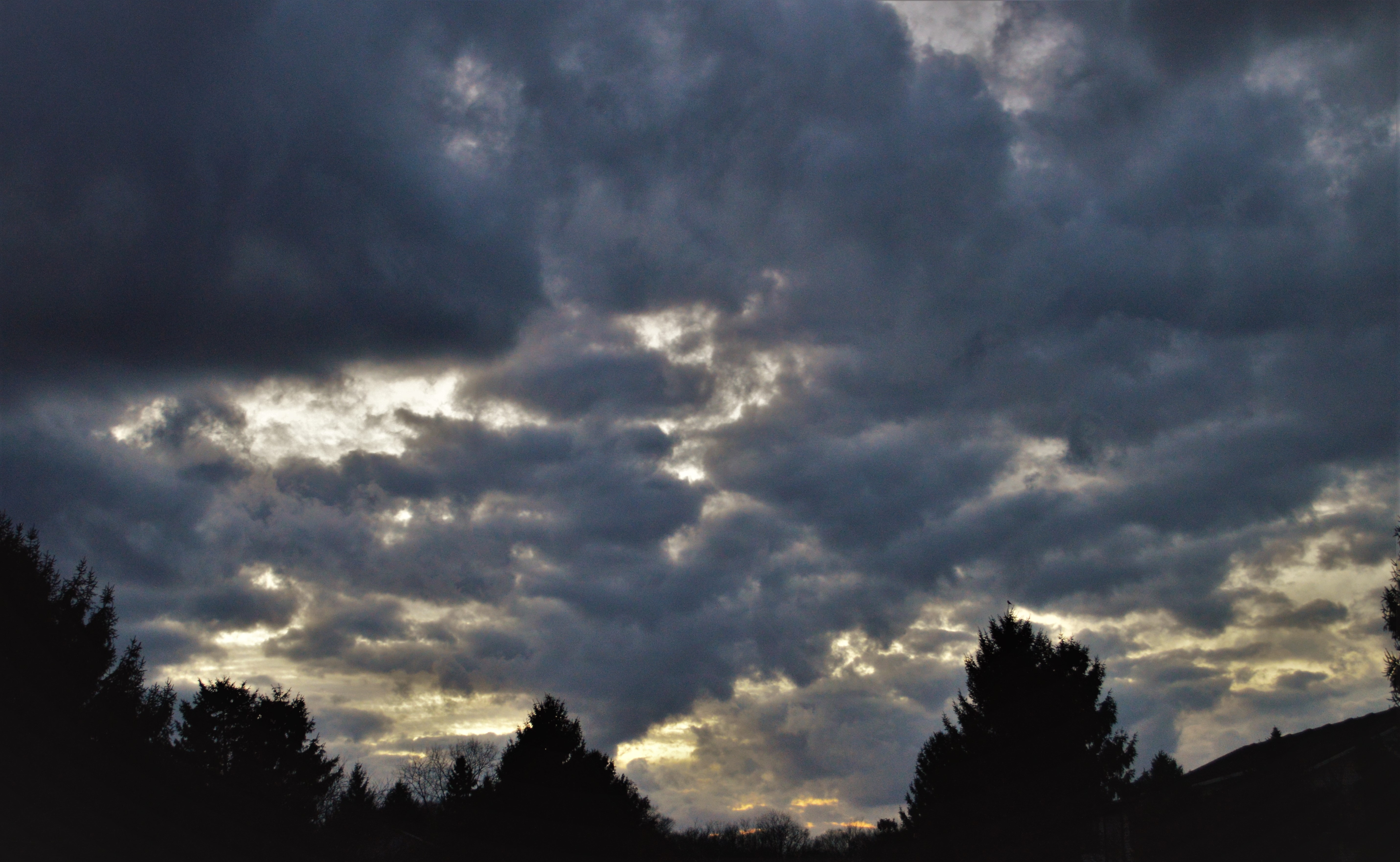 🖤 Vanessa 🖤 OnlyFans header