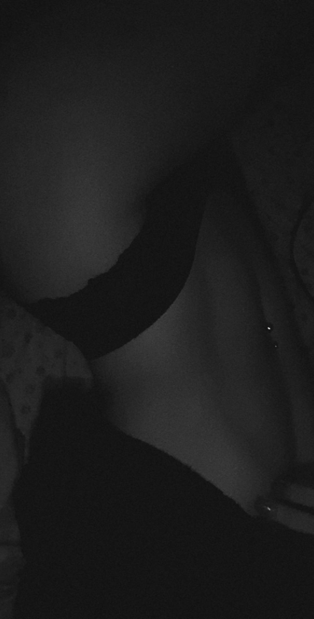 Vanessa OnlyFans header