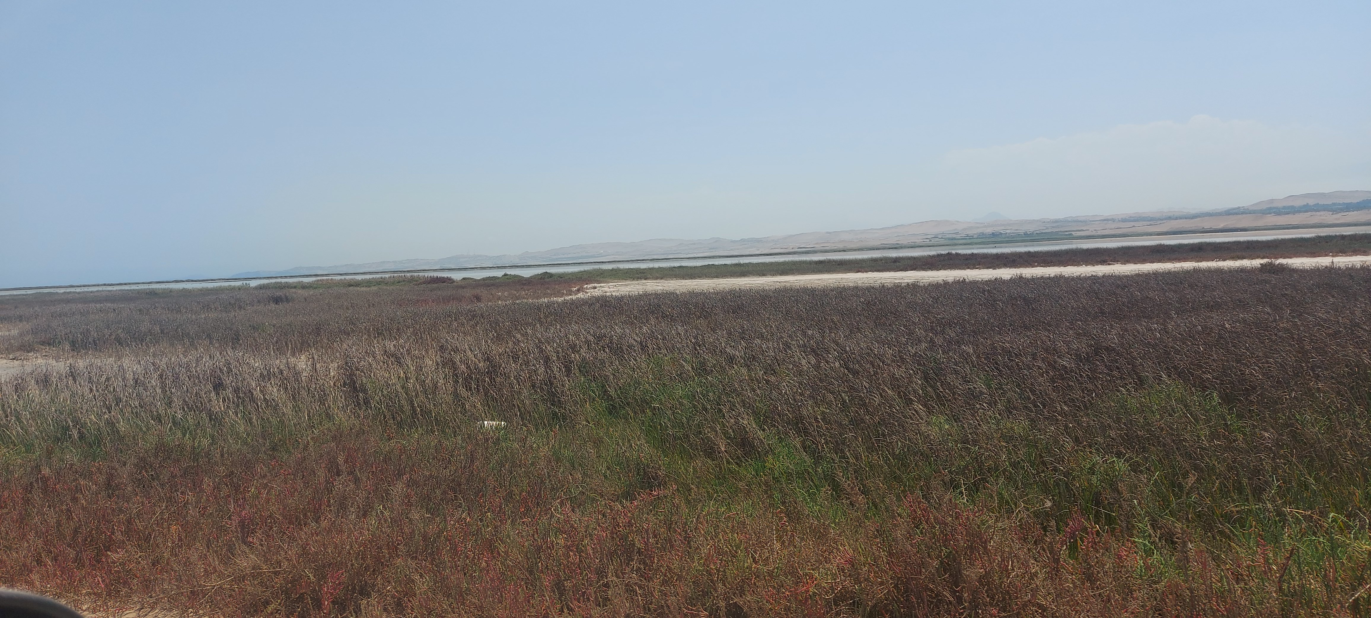 Vanessa OnlyFans header