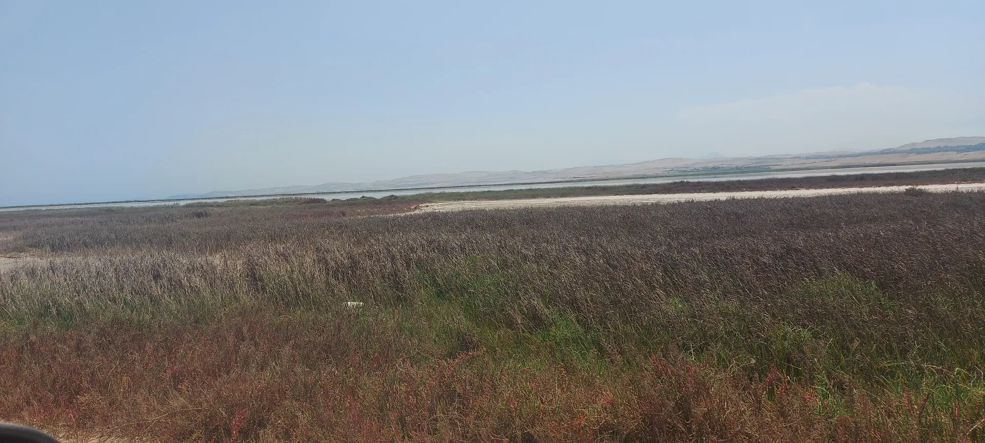 Vanessa OnlyFans header