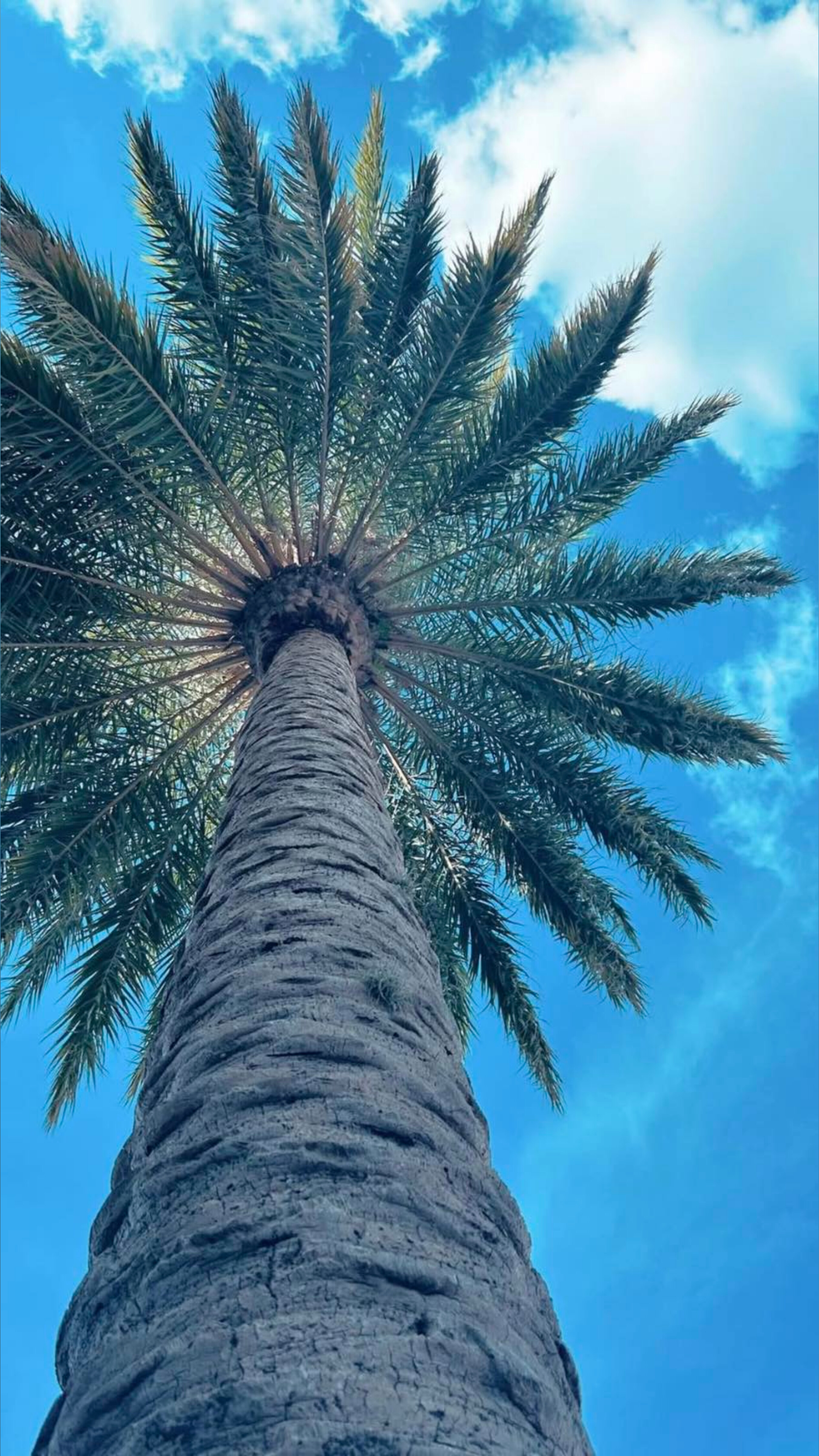 Vanessa Miles OnlyFans header